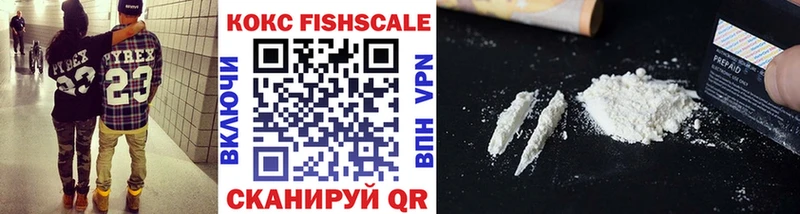 Cocaine FishScale  цена   мега онион  Опочка 