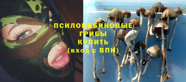 прущая мука Пролетарск
