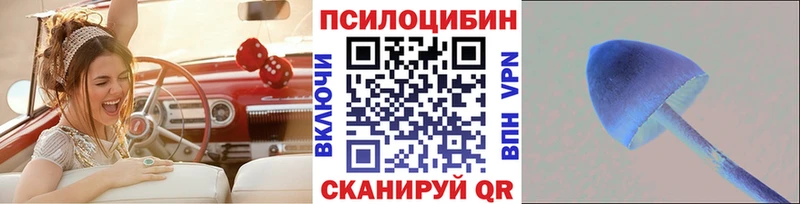 Псилоцибиновые грибы Psilocybe  как найти   Опочка 